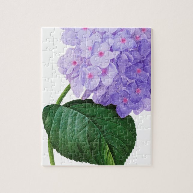 Redoute Lila Hydrangea (Vertikal)