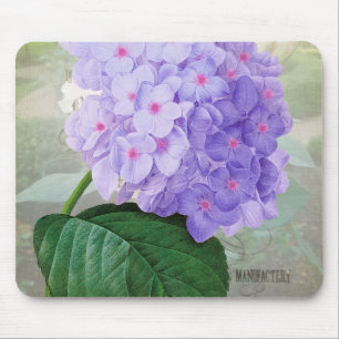 Redoute Lila Hydrangea Mousepad