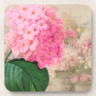 Redoute Pink Hydrangea Französische Akzent-Unterse Getränkeuntersetzer