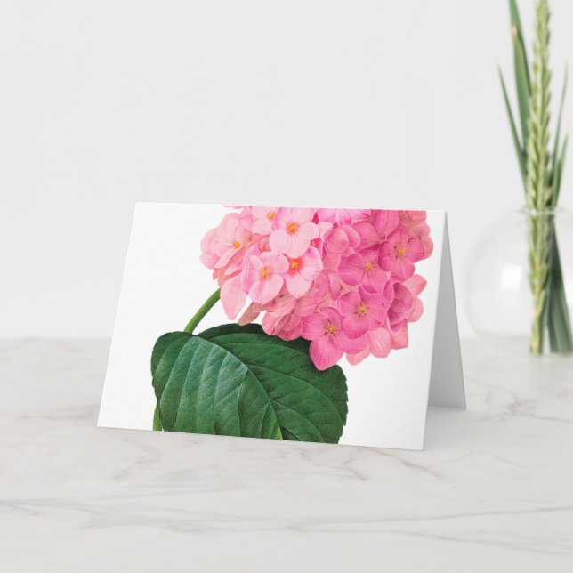 Redoute Pink Hydrangea Grußkarte Karte (Vorderseite)