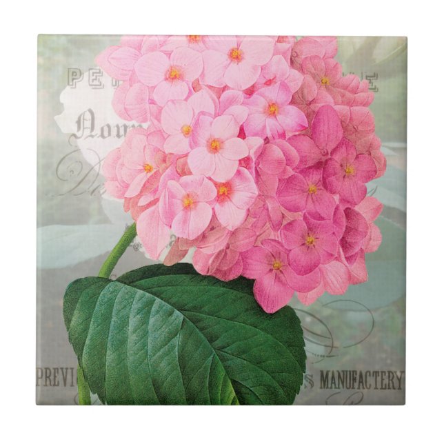 Redoute Pink Hydrangea Keramik Tile Fliese (Vorderseite)