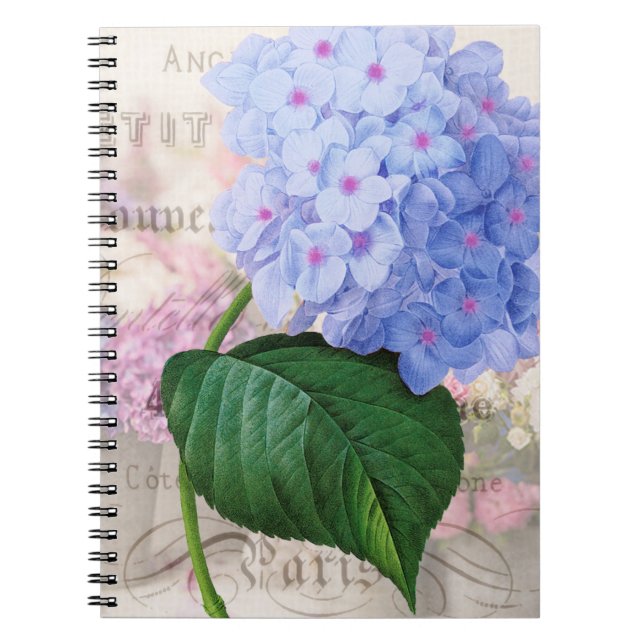 Redoute Pink Hydrangea Notebook Notizblock (Vorderseite)