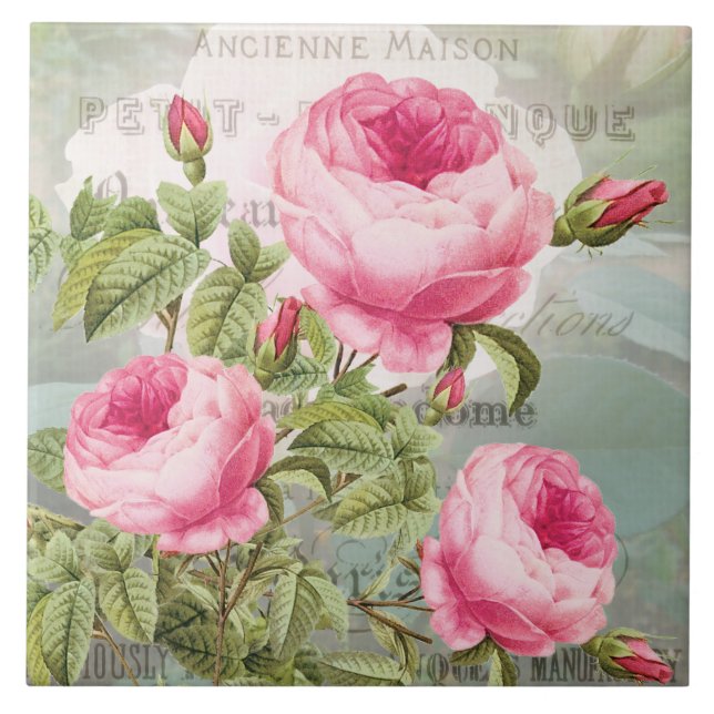 Redoute Pink Roses Keramik Tile Fliese (Vorderseite)