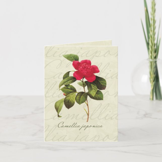 Redoute Red Camellia Botanical Print Mitteilungska Karte (Vorderseite)