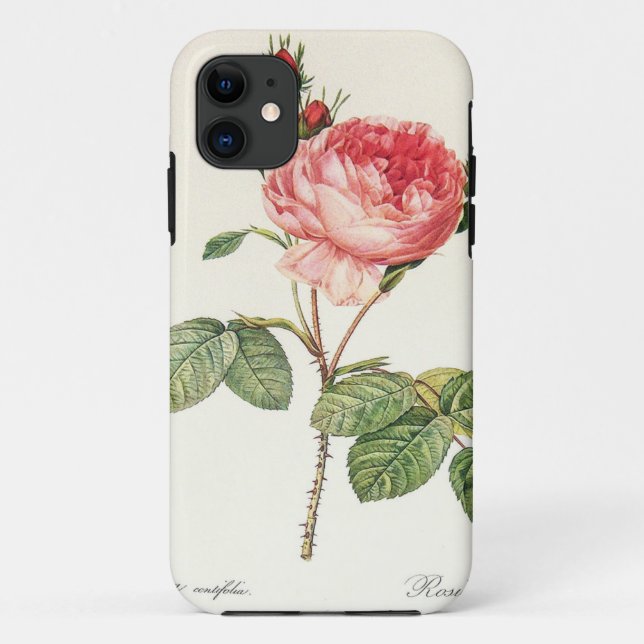 Redoute Rosa Centifolia (hell) Case-Mate iPhone Hülle (Rückseite)