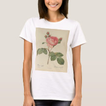 Redoute Rosa Centifolia T - Shirt