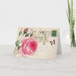 Redoute Rose Greeting Card Karte