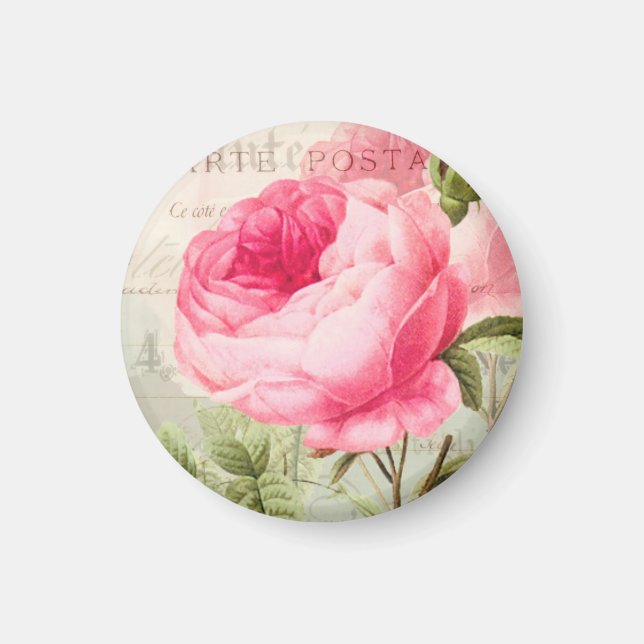 Redoute Rose Rose Cercle Magnet (Devant)
