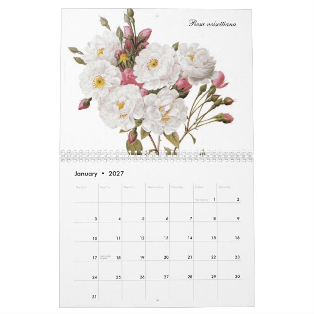 Redouté Rosen 2015 Kalender (Jan 2027)
