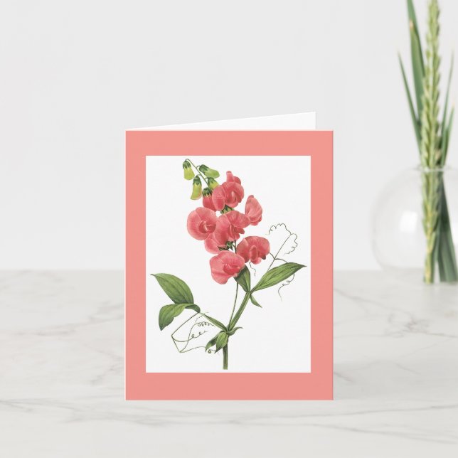 Redoute süße Erbse Notecard Karte (Vorderseite)
