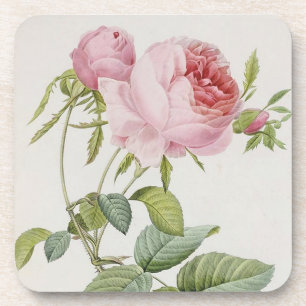 Redoute Vintage Rose Französisch Akzente Untersetz Untersetzer