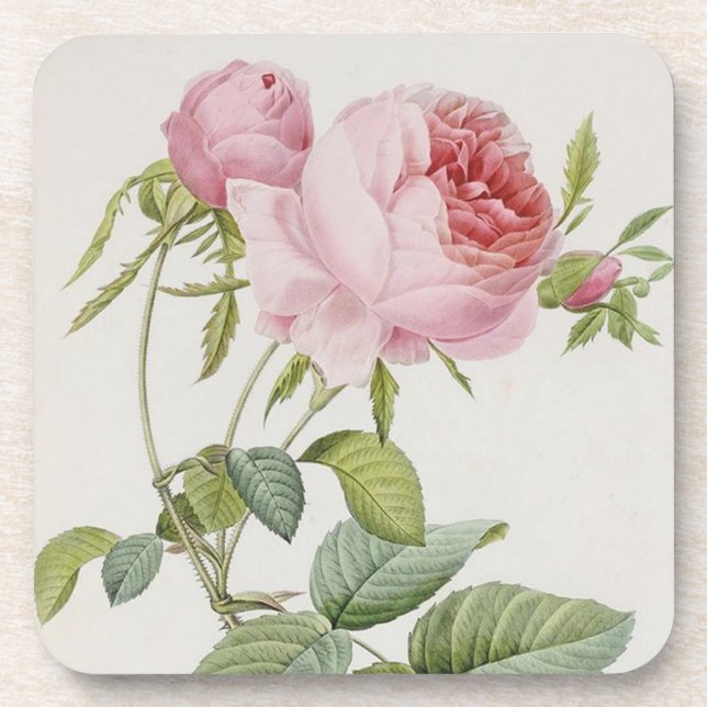 Redoute Vintage Rose Französisch Akzente Untersetz Untersetzer (Vorderseite)