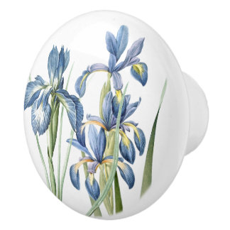 Redoutes Iris-Blumen-mit Blumenbotanisches Keramikknauf