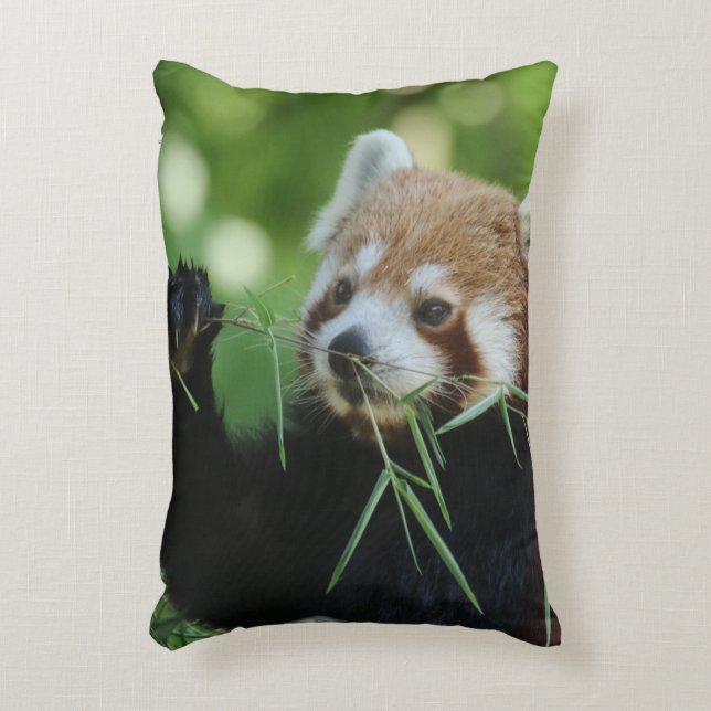 RedPanda 002 Dekokissen (Vorderseite(Vertikal))