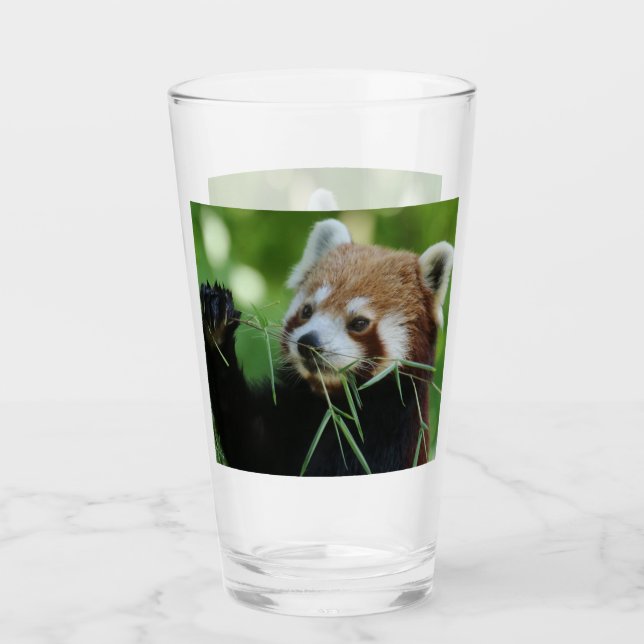RedPanda 002 Glas (Vorderseite)