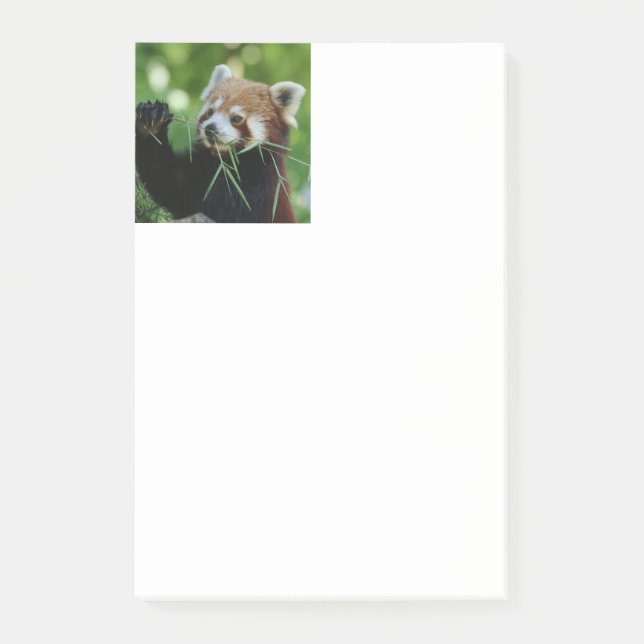 RedPanda 002 Post-it Klebezettel (Vorderseite)