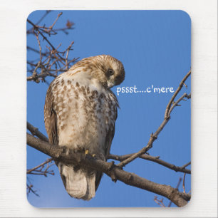 Redtail-Mäuseschutz Mousepad