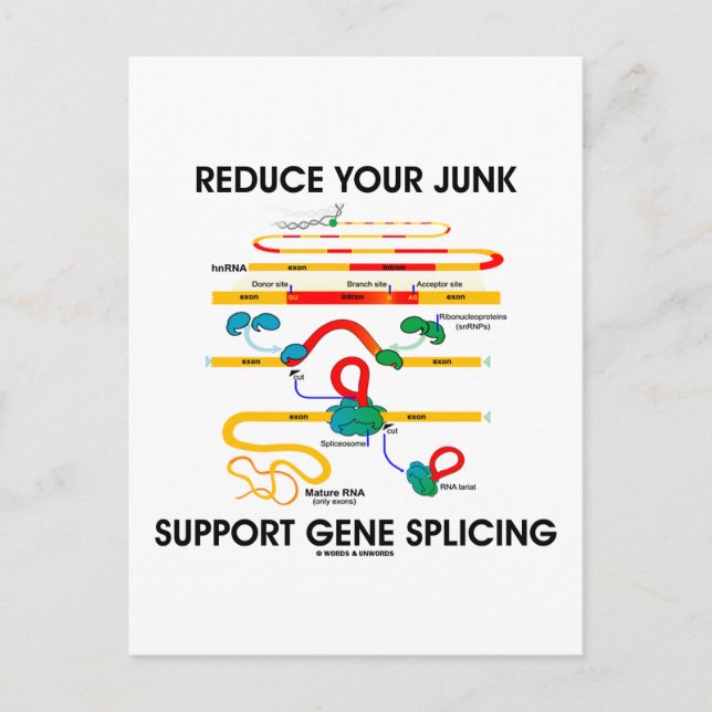 Reduzieren Sie die Gene Splicing (RNA-Spaß) der Ju Postkarte (Vorderseite)