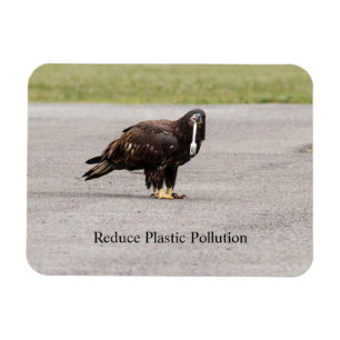 Reduzierung der Plastikverschmutzung Magnet