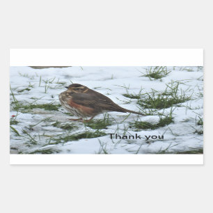 Redwing Rechteckiger Aufkleber