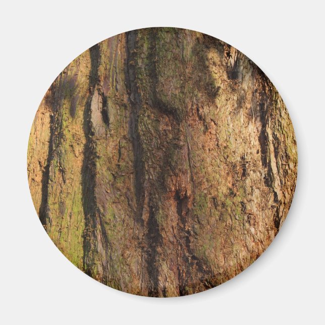 Redwood Bark Foto Texture Magnet (Vorne)