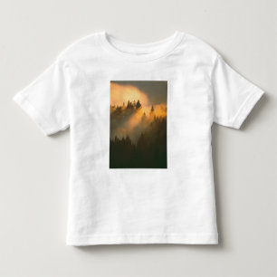 Redwood-Bäume in Küstennebel, Marin-Landkreis, Kleinkind T-shirt