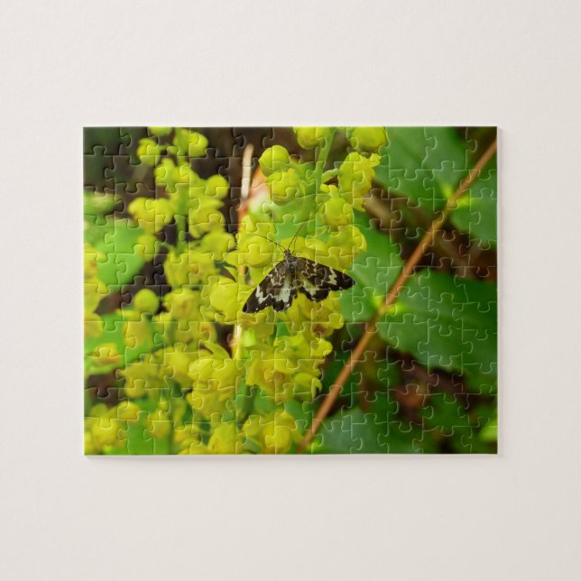 Redwood Butterfly und Wildblumen (Horizontal)