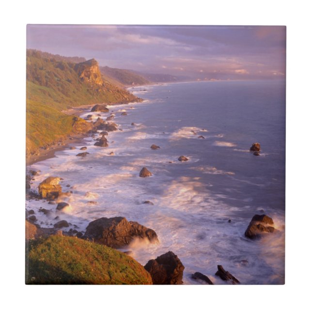 Redwood Coast, Kalifornien Fliese (Vorderseite)