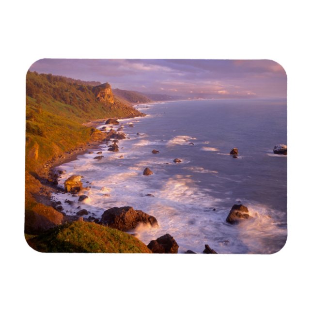 Redwood Coast, Kalifornien Magnet (Horizontal)