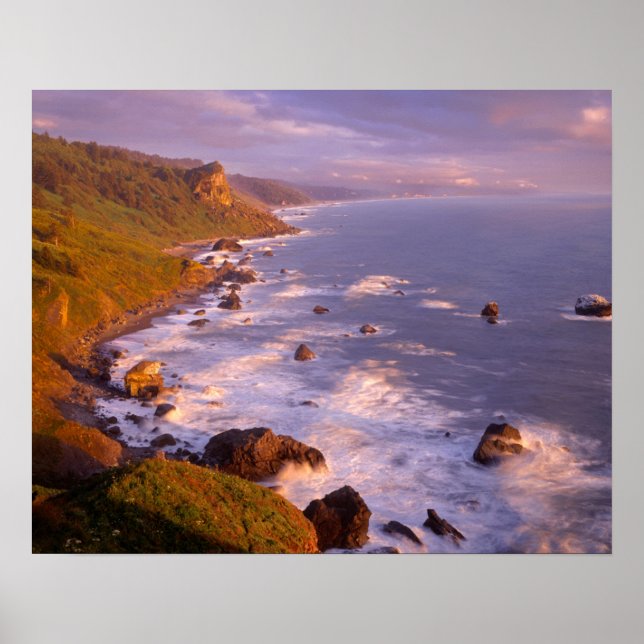 Redwood Coast, Kalifornien Poster (Vorne)