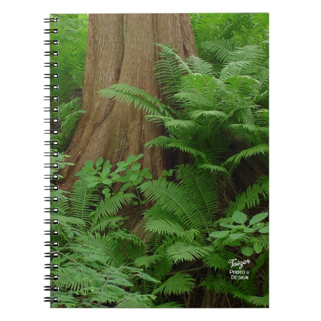 Redwood & Ferns Notebook Notizblock (Vorderseite)