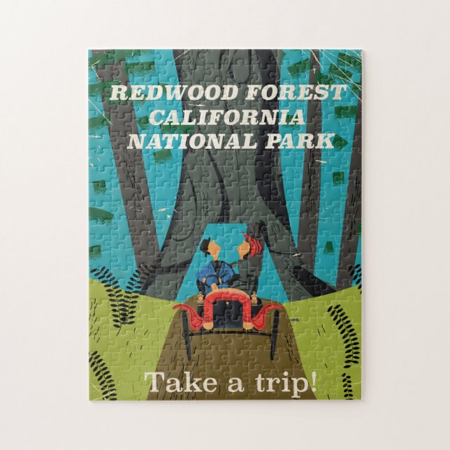 Redwood Forest California National Park Travel (Vertikal)
