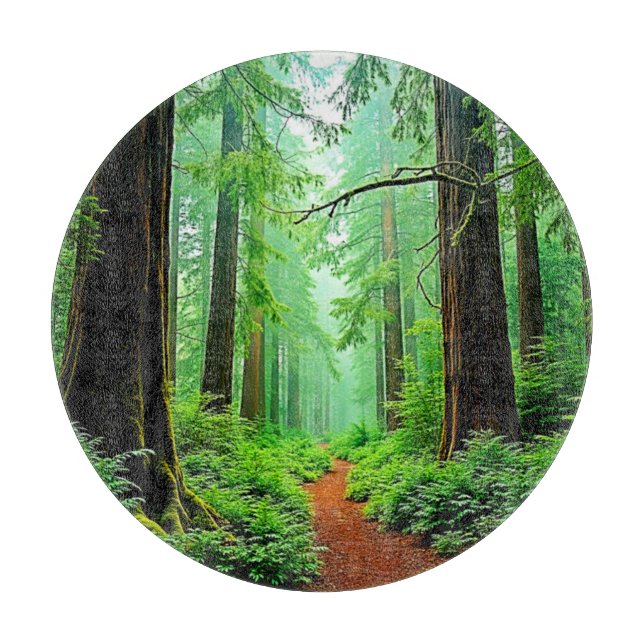Redwood Forest Mistle Tranquility Design Schneidebrett (Vorderseite)