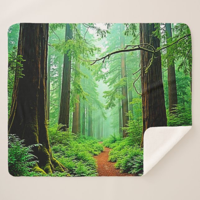 Redwood Forest Mistle Tranquility Design Sherpadecke (Vorderseite (Horizontal))