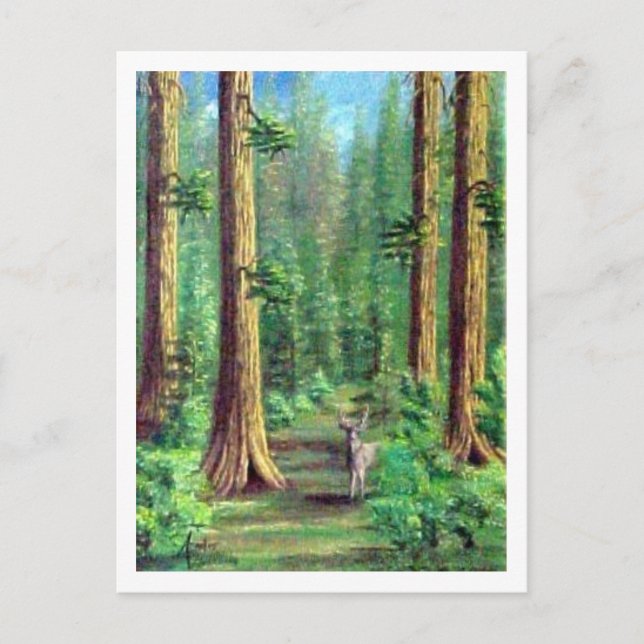 Redwood Forest Postkarte (Vorderseite)