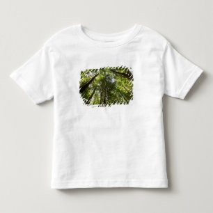 Redwood Forest, Rotorua, Neuseeland 2 Kleinkind T-shirt