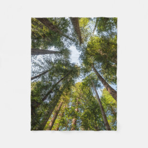 Redwood National and Staat Parks, Kalifornien Fleecedecke