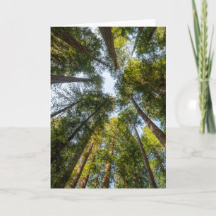 Redwood National and Staat Parks, Kalifornien Karte