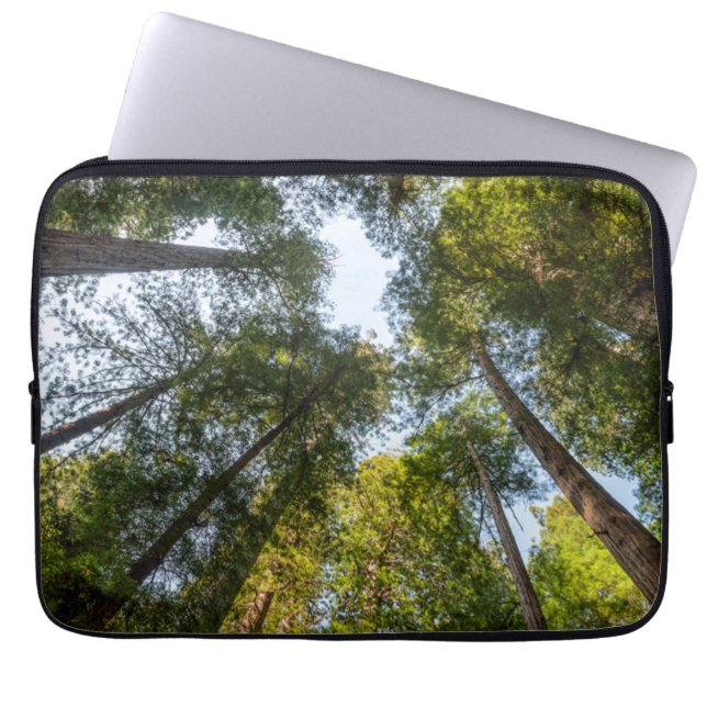 Redwood National and Staat Parks, Kalifornien Laptopschutzhülle (Vorderseite)