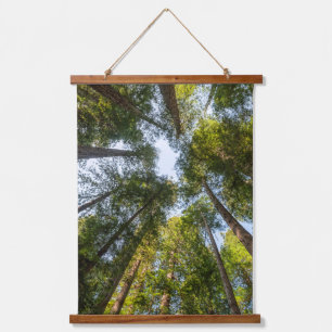 Redwood National and State Parks, Kalifornien Wandteppich Mit Holzrahmen