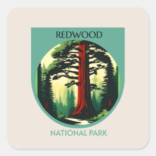Redwood National Park Beauty Quadratischer Aufkleber