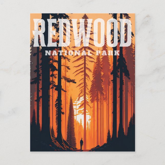 Redwood National Park, CA Postcard Postkarte (Vorderseite)
