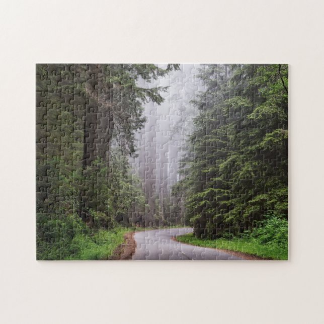 Redwood National Park California Foto (Horizontal)