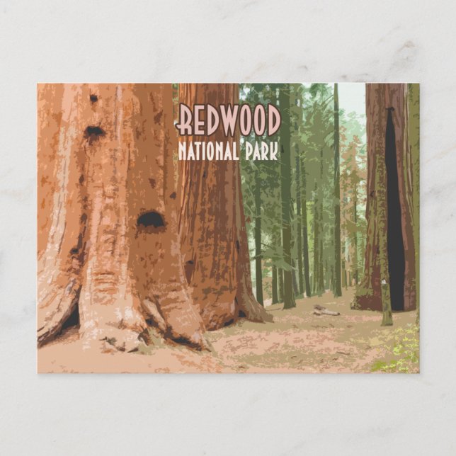 Redwood National Park California Postkarte (Vorderseite)