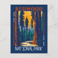 Redwood National Park California Retro Not leidend