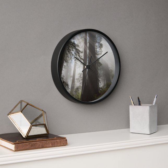 Redwood National Park California Uhr (Büro)