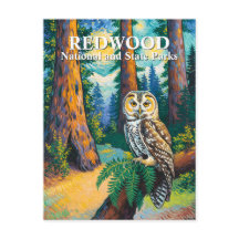 Redwood National Park Forest Owl Van Gogh Style
