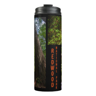 Redwood National Park Foto Thermosbecher