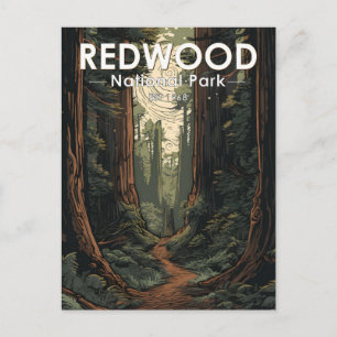 Redwood National Park Illustrationspfad Vintage Postkarte
