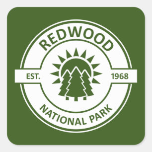 Redwood National Park Sun Trees Quadratischer Aufkleber